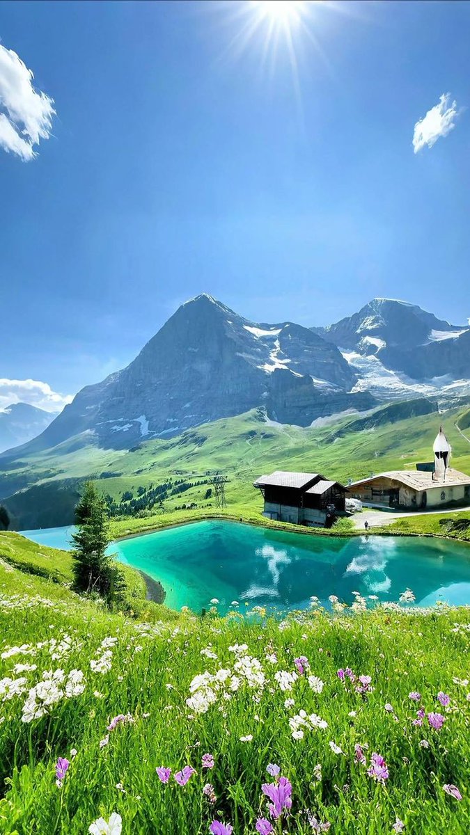 swissmountain08's tweet image. 
