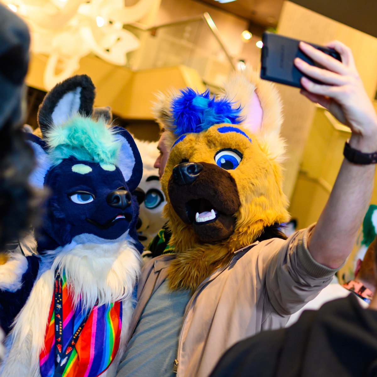 CobaltK9's tweet image. Flying over for #Aurawra2025! Come find me and let&apos;s hang!!

Do:
✅️Come and say hi! 
✅️Ask for hugs!
✅️Get photos! 
✅️Trade stickers!

📸: @Negadrake