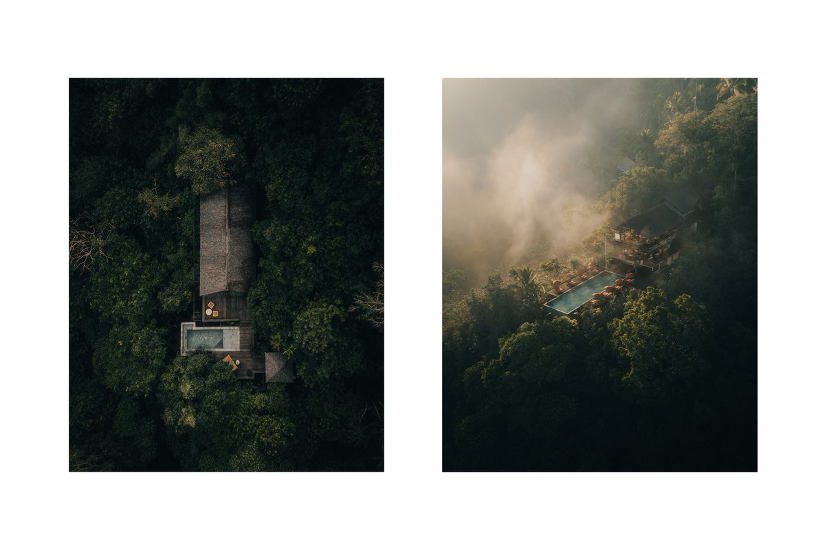 colourwrks's tweet image. GM GM
Two limited editions from the Rainforest Series on Shape L2 x Transient Labs.
E L E V A T I O N
// 0.03E
// 21/24 available
F I R S T L I G H T
// 0.03E
// 14/25 available
See pinned for links to collect 💚