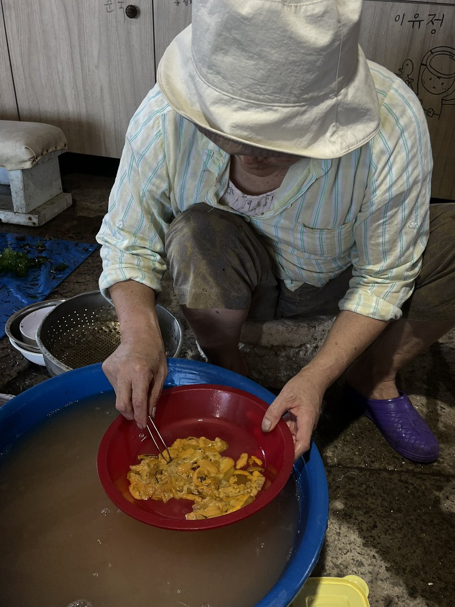 Appleyoung0322's tweet image. 오늘 점심은 이호에서 #성게