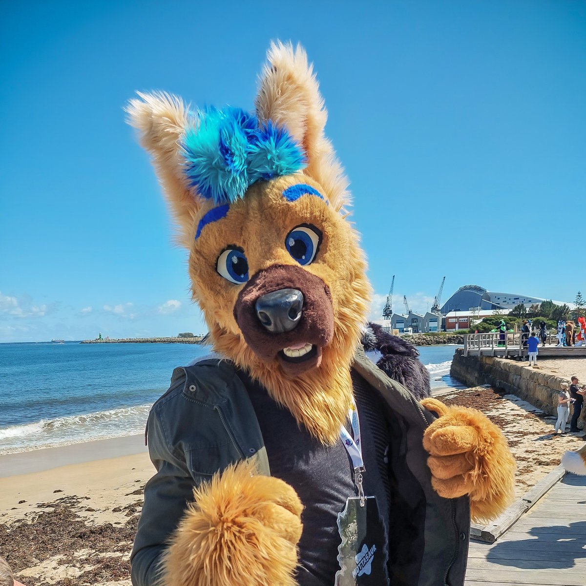 CobaltK9's tweet image. Flying over for #Aurawra2025! Come find me and let&apos;s hang!!

Do:
✅️Come and say hi! 
✅️Ask for hugs!
✅️Get photos! 
✅️Trade stickers!

📸: @Negadrake