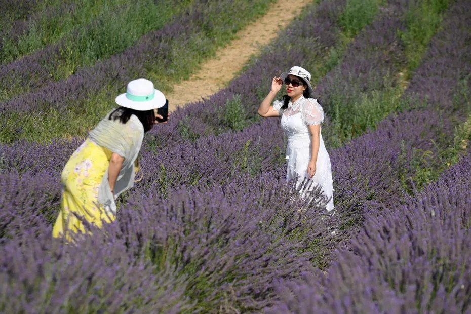 France 3 Côte d'Azur tweet media