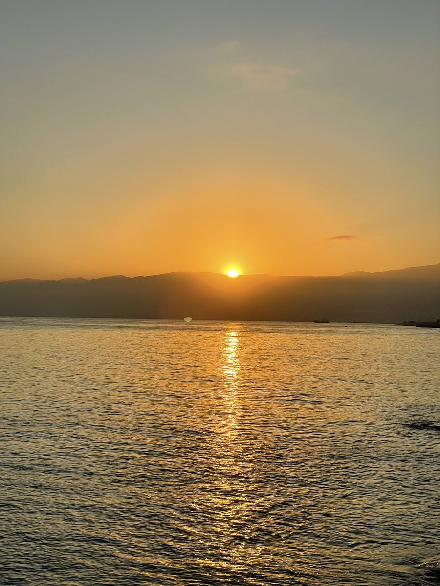 Je ne sais pas si c’est #Gaza qu’on affame, ou si un Occident infâme affame jusqu’à son dernier souffle d’humanité. 
Une chose est certaine : l’été 2025 entrera dans l’histoire comme celui où le monde dit civilisé et ses élites en faillite morale se sont engloutis dans les