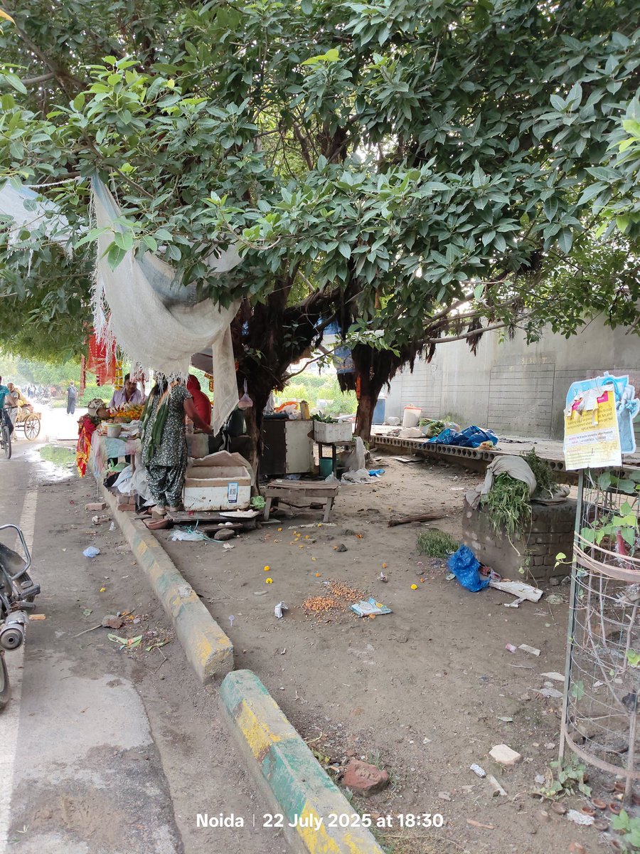<a href="/noida_authority/">NOIDA Authority</a> <a href="/CeoNoida/">CEO, NOIDA Authority</a> <a href="/CPCB_OFFICIAL/">Central Pollution Control Board</a> 
These shops encroached upon the green belt with littering in the area. If the temple wants, they should shift shop in the temple premises, not the green belt
Location: Green belt, Paras Tierea-Gate 1, Sector 137, Noida
#HaqseEncroachment