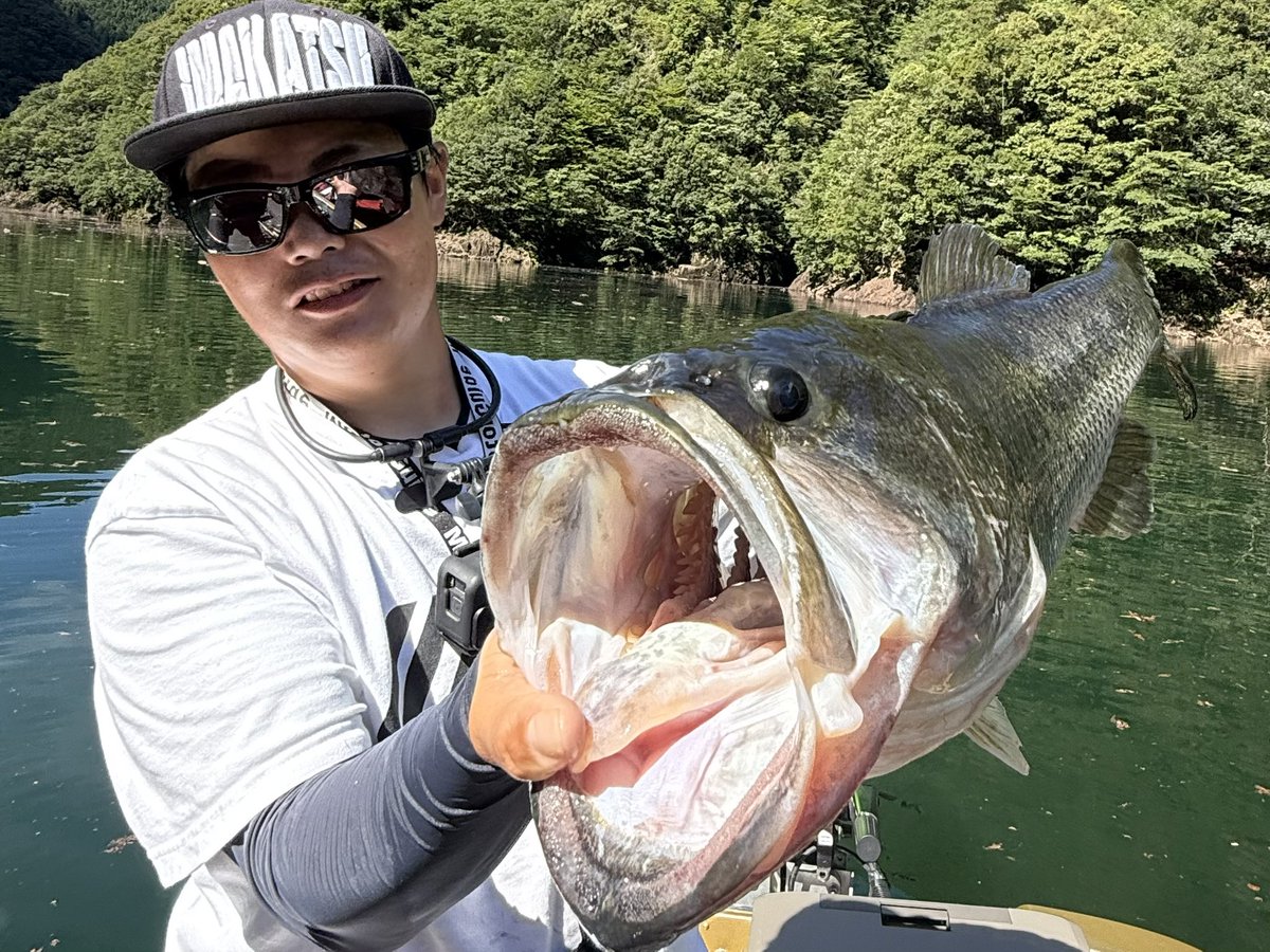 寺本直樹 tweet media