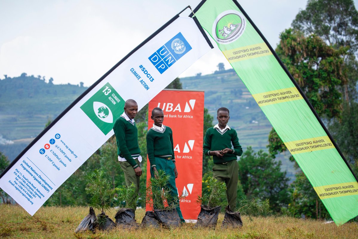 UNDPUganda's tweet image. We need urgent action on a global scale to ensure Uganda’s mountain ecosystems including Mount Elgon are protected.
We need to Invest locally in protecting our unique ecology & biodiversity.
📸Tree planting activity ahead of the #ElgonHalfMarathon on 1st Nov. 2025.
