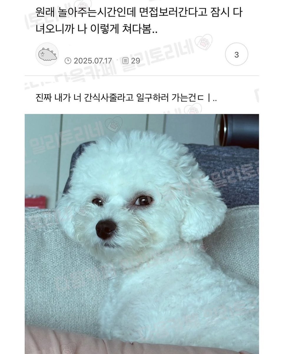 북크북크 (@akzkfltm2) on Twitter photo 