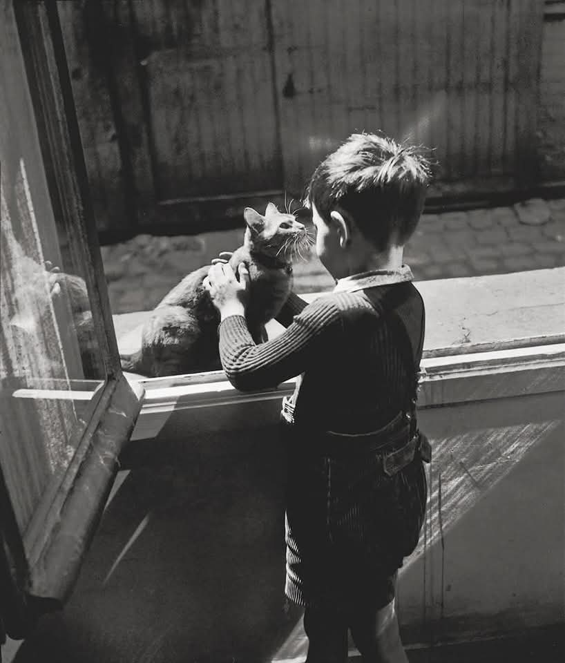 ParisAMDParis's tweet image. Bonjour. 馃槉
馃摲 Willy Ronis.
Le chat de la concierge
1947. Paris