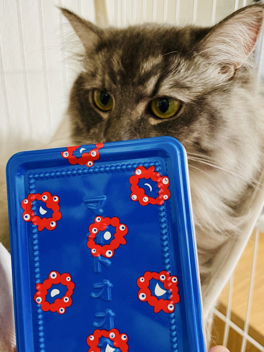 ついにうちにミャクミャク様グッズが…
お土産ありがとう