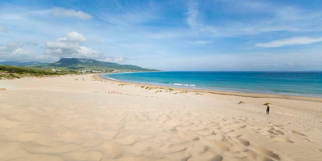 ServiciosAND's tweet image. 🌅🏖 Acércate a las playas de #Andalucía
Este año tiene 138 playas con bandera azul
🔹Málaga - 45
🔹Almería - 35
🔹Cádiz - 31
🔹Granada - 13
🔹Huelva - 12
Y dos de interior, La Breña (Córdoba) y El Encinarejo (Jaén)
👉lajunta.es/5ma3e
#turismo