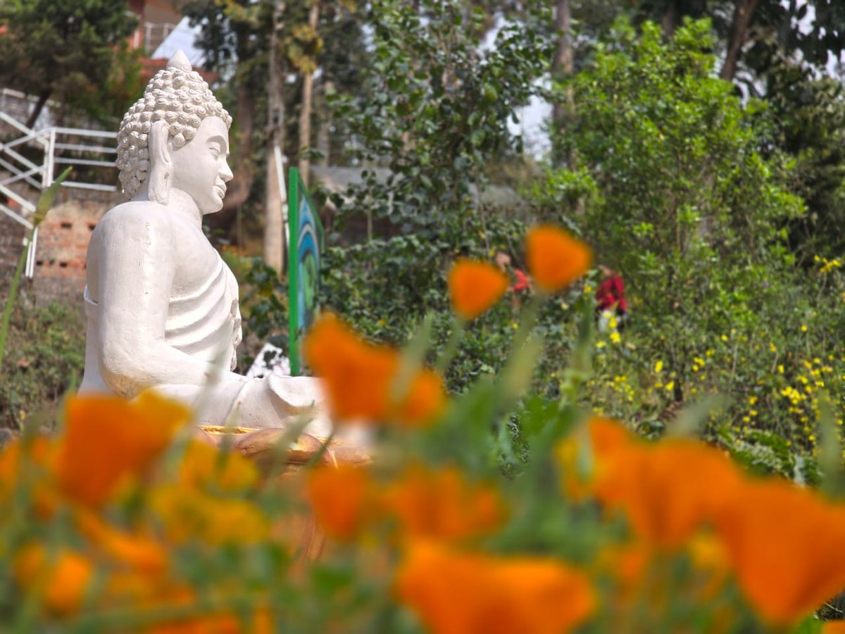 AravGK's tweet image. #FramesofIndia #Buddha