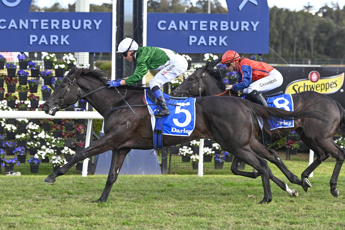 Tara Madgwick (@breednet) on Twitter photo 420k Inglis Easter purchase, Justify filly Amreekiyah goes three for three, produced a lethal finish under a big weight breednet.com.au/news/40673/hig… <a href="/inglis_sales/">Inglis</a> <a href="/CoolmoreAus/">Coolmore Australia</a> <a href="/Morningrisestud/">Morning Rise Stud</a> <a href="/EmiratesPark/">Emirates Park</a> <a href="/SnowdenRacing1/">Snowden Racing</a> <a href="/wj_bloodstock/">William Johnson Bloodstock</a> 420k Inglis Easter purchase, Justify filly Amreekiyah goes three for three, produced a lethal finish under a big weight breednet.com.au/news/40673/hig… <a href="/inglis_sales/">Inglis</a> <a href="/CoolmoreAus/">Coolmore Australia</a> <a href="/Morningrisestud/">Morning Rise Stud</a> <a href="/EmiratesPark/">Emirates Park</a> <a href="/SnowdenRacing1/">Snowden Racing</a> <a href="/wj_bloodstock/">William Johnson Bloodstock</a>