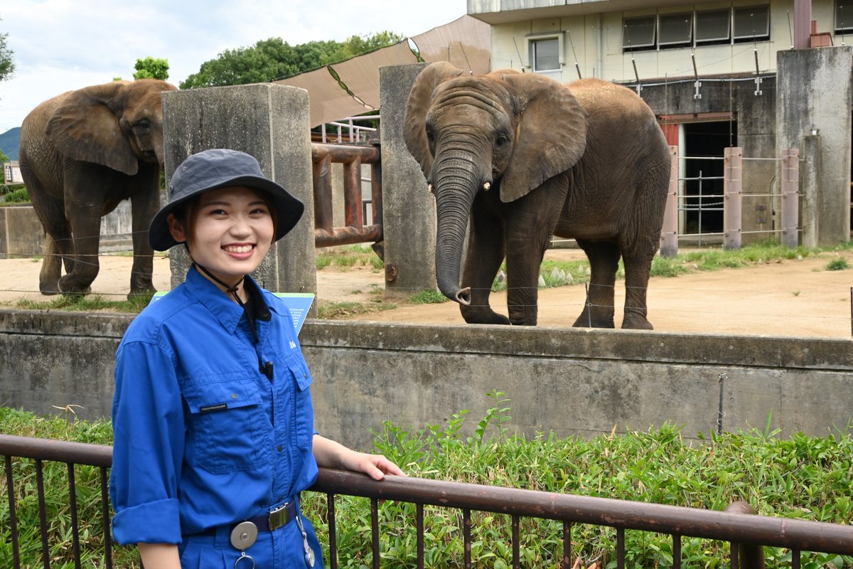 tobezooofficial's tweet image. ◤🐾採用情報についてお知らせ🐾◢
現在 #とべ動物園 では正規飼育職員を募集中です✨
詳細はこちらをご覧ください⬇️
tobezoo.com/kyokai/topics/…
#とべ動物園 #採用情報