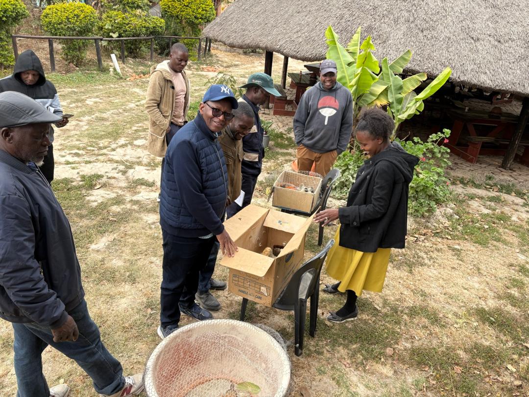 SCOPEZIM's tweet photo. 🌿✨ A beautiful gathering at Chitubu for the Wandutso Trust Agroecology Introduction Training,
Participants explored key agroecology principles, toured demonstration zones, and reflected on building resilient food systems grounded in biodiversity and local knowledge. https://t.co/gXnzbdEN8g