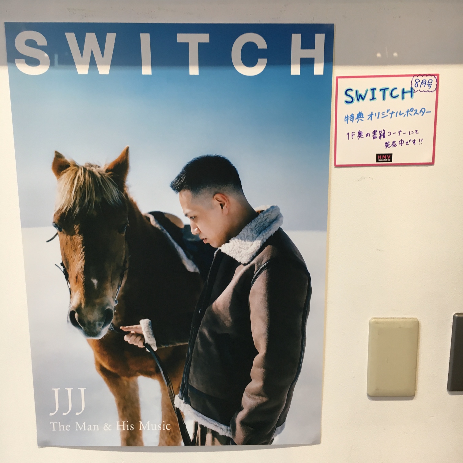 Switch 雑誌 61JhbVlh+ZL._UF350,350_QL50_.jpg