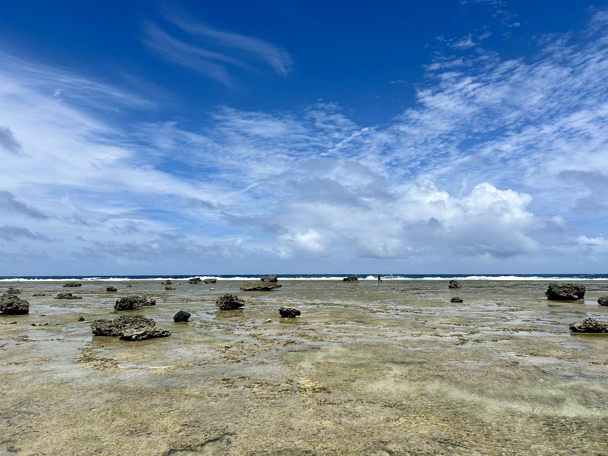 こちらの論文の聖地、奄美に来ています。