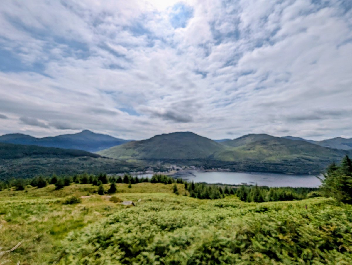 Wishing you a wild Wednesday 😁