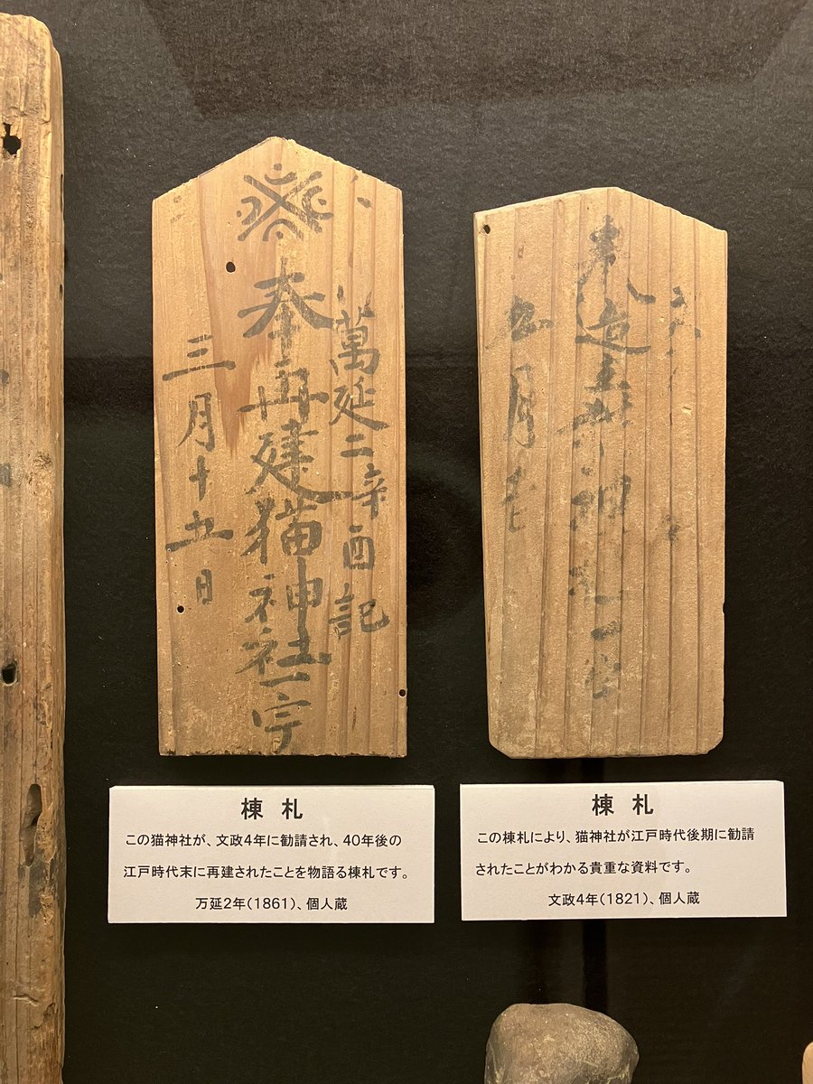 nekotaro1601's tweet image. また、増えた