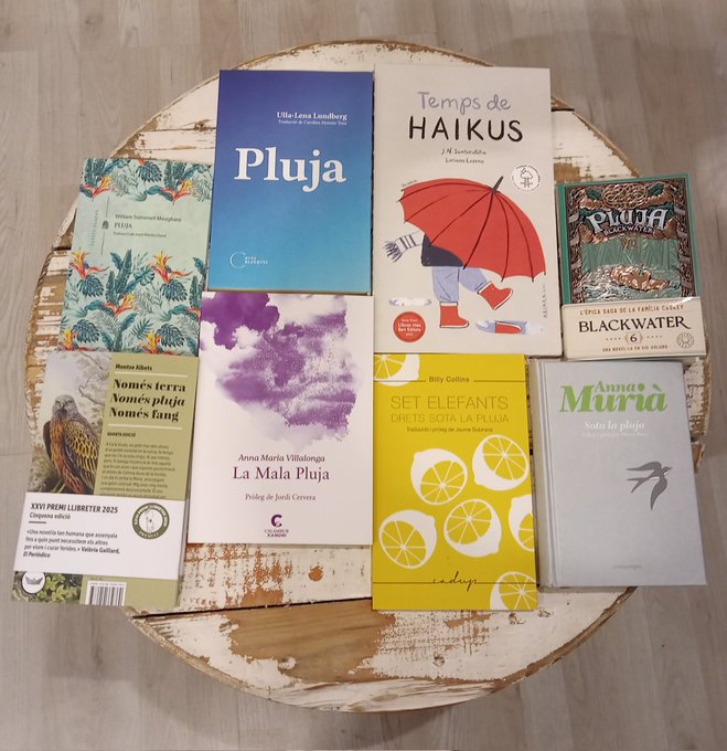 Plou i hem volgut destacar bons llibres en els quals apareix la paraula pluja en el seu títol 👇☔️