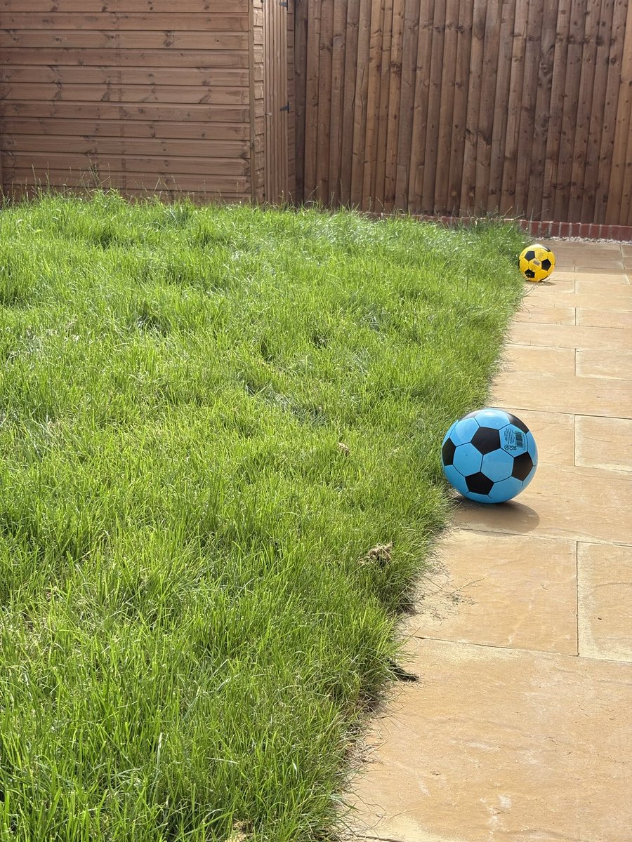 SanderoNFT's tweet image. Gm gm,
Today will be less about touching grass and more about cutting grass.
The garden has become a little overgrown!