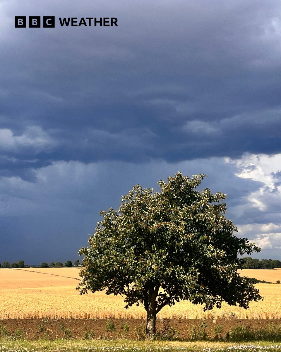 bbcweather's tweet image. Cloudy today, with some sunshine. There will be a few showers for most, these heaviest and possibly thundery in the south and south-east. Latest forecast: bbc.in/3GZBldp
Pic: BBC Weather Watcher Signmakers Wife in Harrowden, Northamptonshire