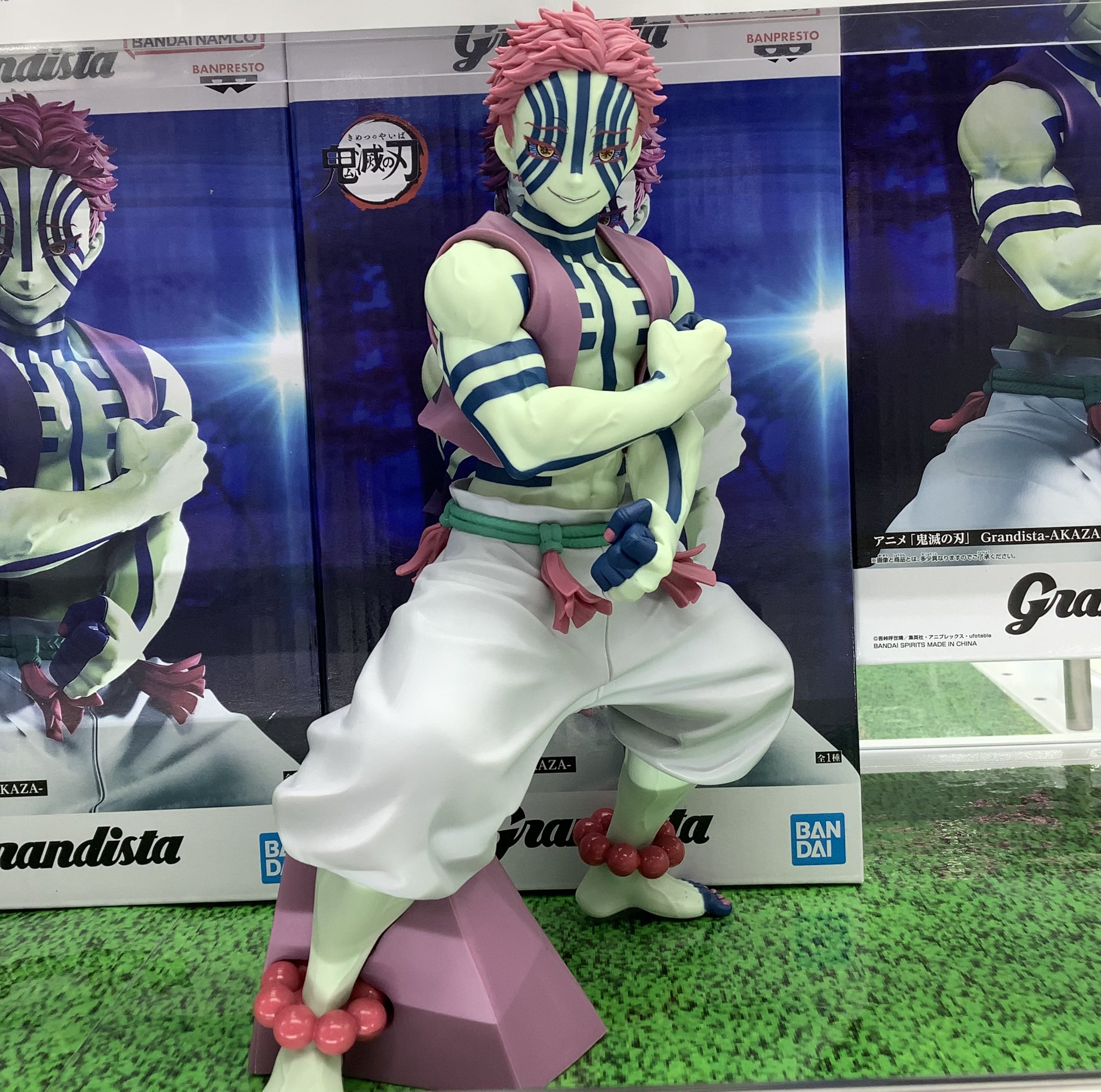 ピノキオ　特大 楽天市場】サボテン 金鯱風 (エキノカクタスグルソニー) 高さ