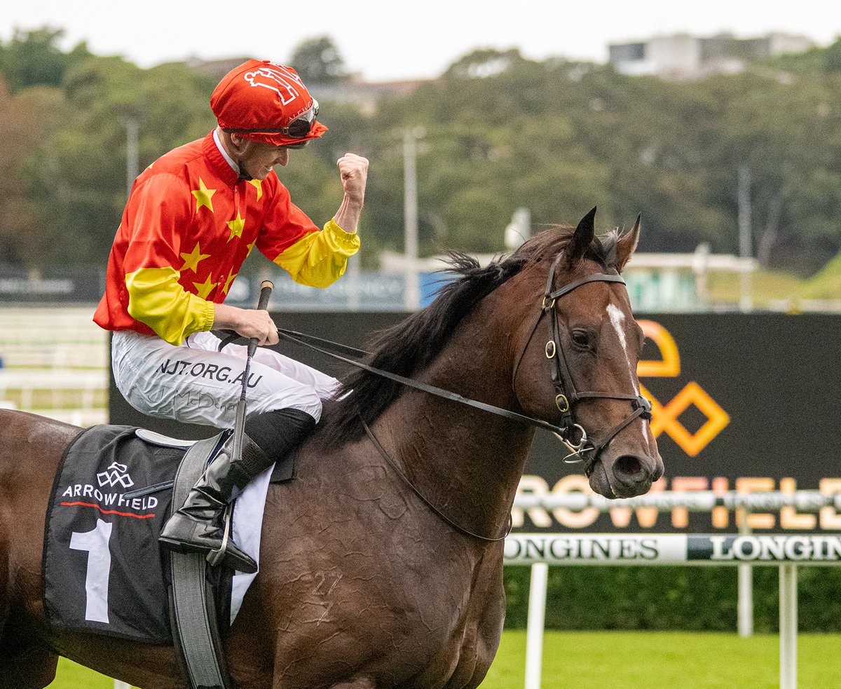 MonNeill's tweet image. The jungle🌴drums are beating🥁, the whispers 🤫 getting LOUDER❗️
WILD RULER ⚔️his 2⃣YO army is now on the move🪖
A class 2⃣YO when winning the Inglis Nursery, it will be no surprise to see a son or daughter repeat this feat 🏇
Informed Decisions Start Early @NewgateFarm 🔴🟡