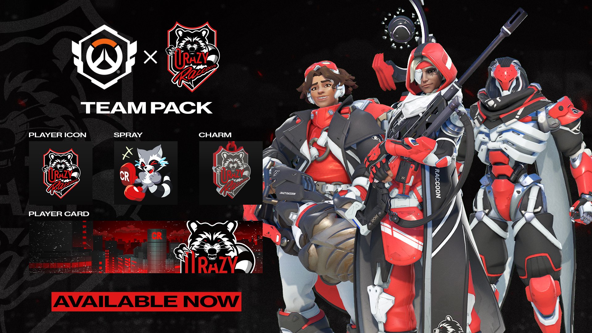 CRAZY RACCOON TEAM JERSEY 2025 ユニフォーム