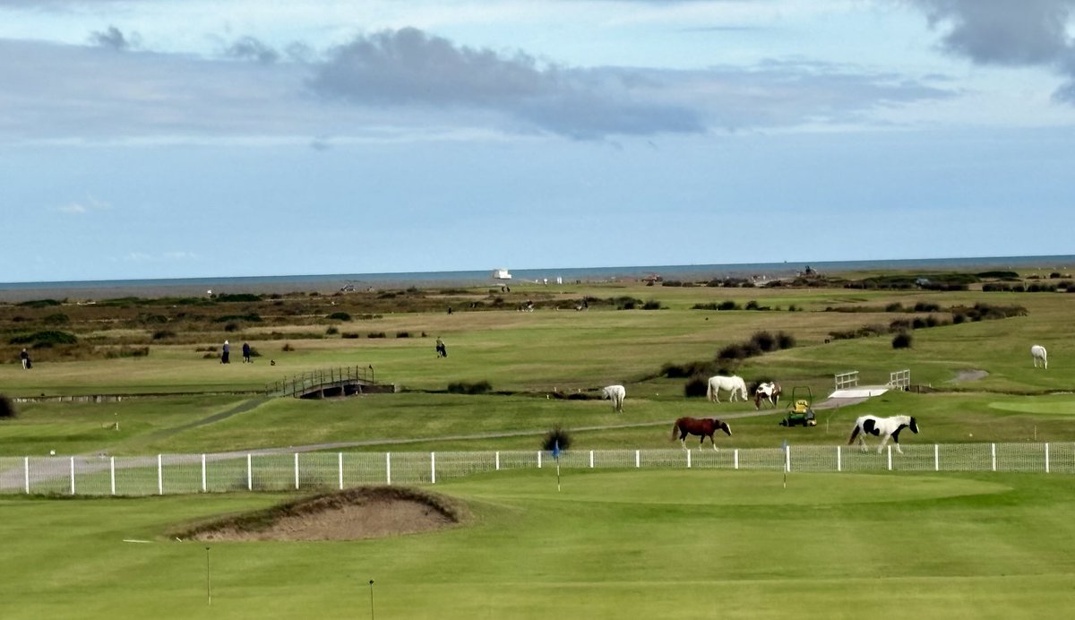 DevonGolf (@devongolf) on Twitter photo The always magnificent <a href="/RNDGolfclub/">The Royal North Devon Golf Club</a> for the DevonGolf Men’s South West of England Mid-Amateur Championship over 36 holes. A special welcome to all Devon golfers and those who have travelled from other counties for the Dartmoor Trophy. Live scoring devongolf.org.uk/live The always magnificent <a href="/RNDGolfclub/">The Royal North Devon Golf Club</a> for the DevonGolf Men’s South West of England Mid-Amateur Championship over 36 holes. A special welcome to all Devon golfers and those who have travelled from other counties for the Dartmoor Trophy. Live scoring devongolf.org.uk/live