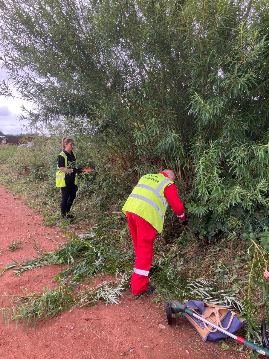 LHCRT1's tweet image. Big thanks to the team of four from @SthStaffsWater who rolled up their sleeves at Darnford Moors Ecology Park on Tuesday!
They tackled hedge trimming, cleared access verges and overhanging branches, and even gave the old lock area a much-needed tidy. 👏