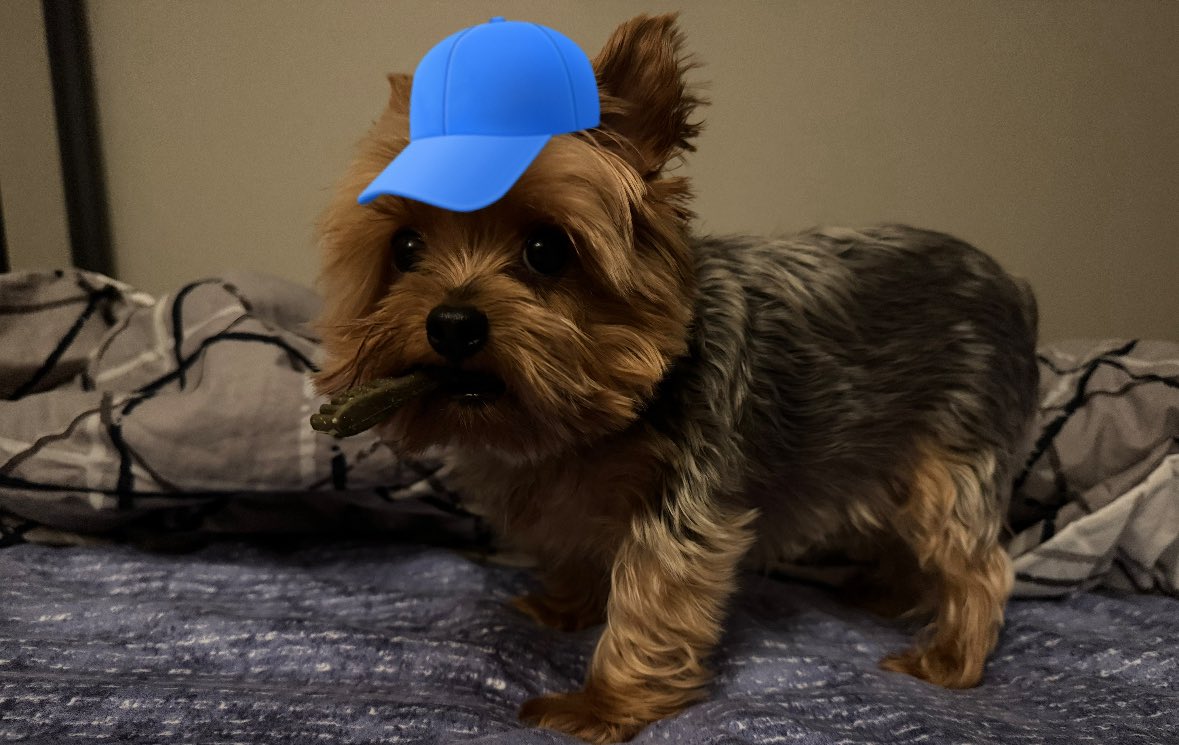 Love & Sri (@yorkiedad_21) on Twitter photo Love. When yous ask for thems Popeye ⏳🧙♀️but imstemd becomes Popeye … peep peep 💨
<a href="/ZombieSquadHQ/">ZombieSquadHQ💖💚🧡💚🩵©</a> #ZSHQ Love. When yous ask for thems Popeye ⏳🧙♀️but imstemd becomes Popeye … peep peep 💨
<a href="/ZombieSquadHQ/">ZombieSquadHQ💖💚🧡💚🩵©</a> #ZSHQ