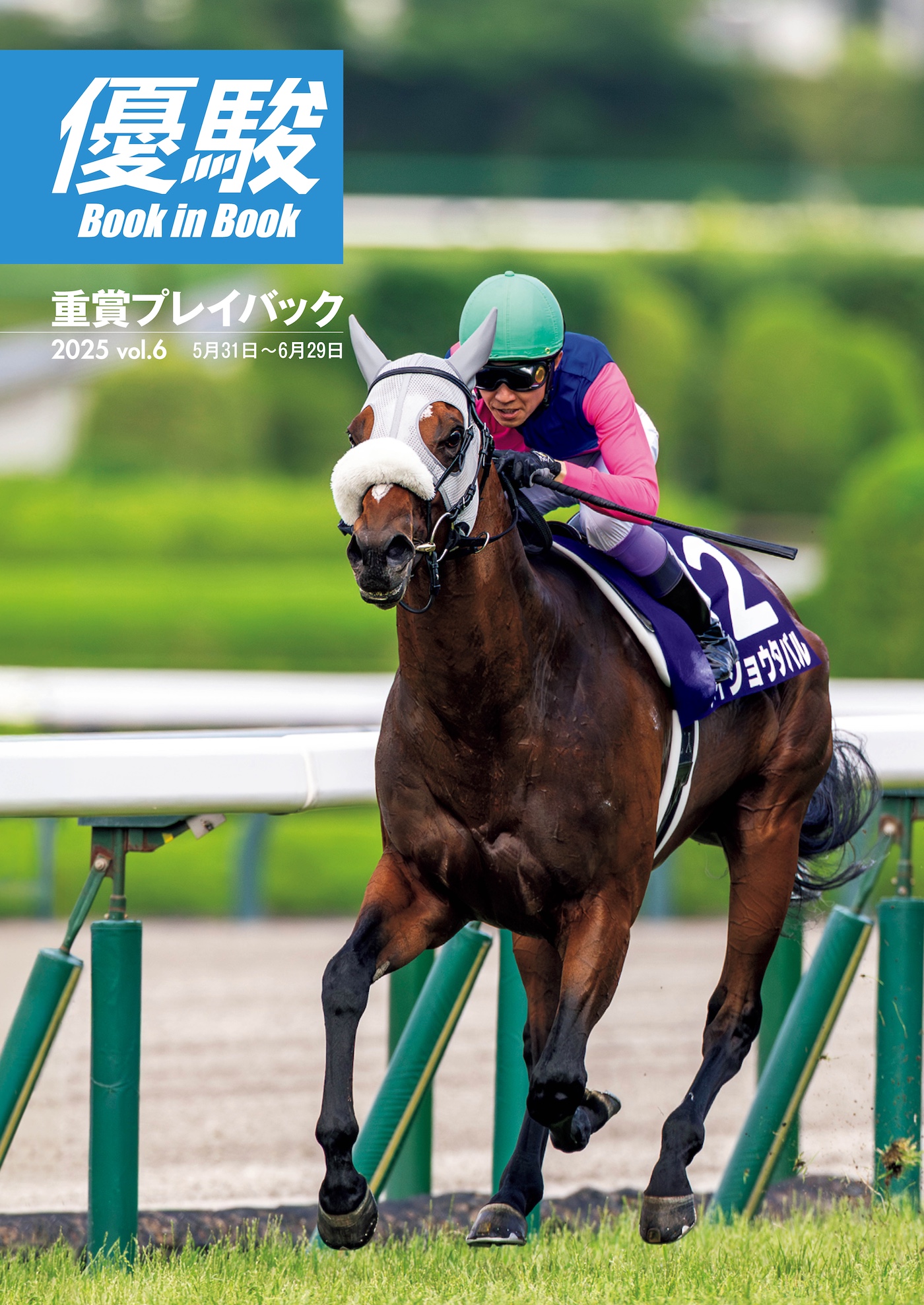 100枚以上 競馬DVD 優駿 サラブレ まとめ 大量 付録 2025年最新】優駿付録DVDの人気アイテム - メルカリ