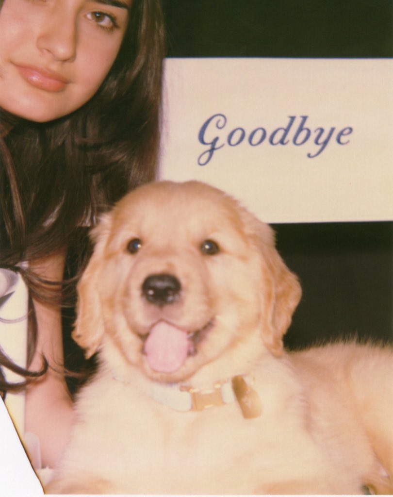 SabCarpenterIT's tweet image. 🚨 | Sabrina Carpenter ha rivelato che l’ultima e #12 traccia del nuovo album “Man’s Best Friend” si chiamerà “Goodbye”