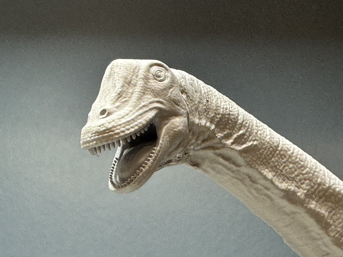 YukiTsukimura's tweet image. 毎度当たり前なのですが、自分で作ってるので自分はめちゃくちゃ好きな顔なのです😅
#いきものワンフェス
