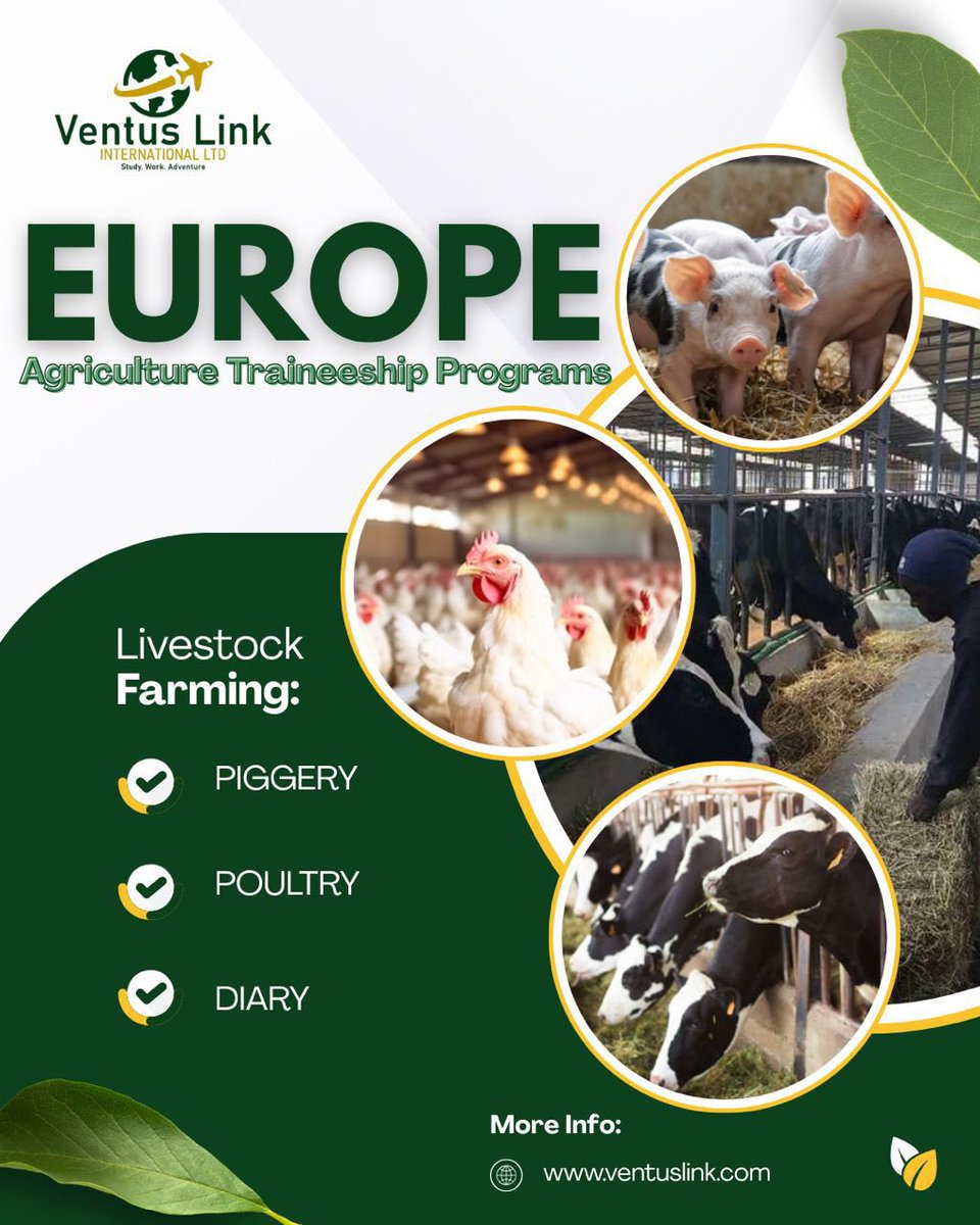 kirya_ug's tweet image. Here is your chance to pull new careers and traineeship programs in Europe under Agriculture.
@ventuslink256 is ready to help you drive your goal to your dream and targeted opportunity
reach out on ;(+256 704 005158 / +256 705 484 095)