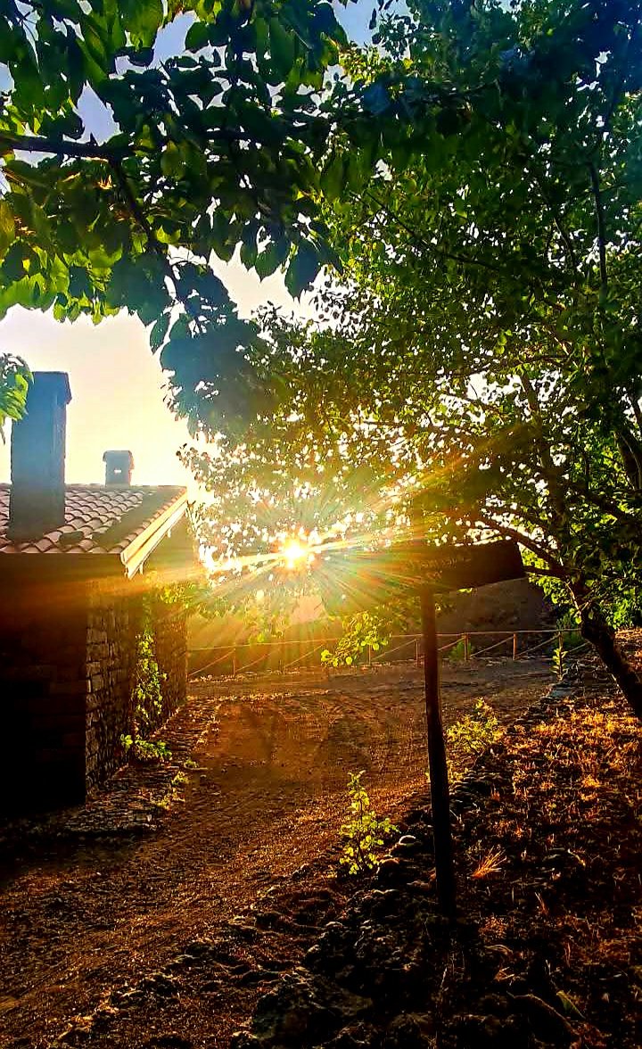 Buongiorno 🔥🎵

youtu.be/fWUxkZEuJG4?si…