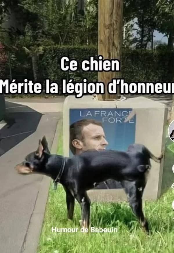 raymond28677463's tweet photo. Oh oui..👍🤣 https://t.co/ugyiDDVUOI