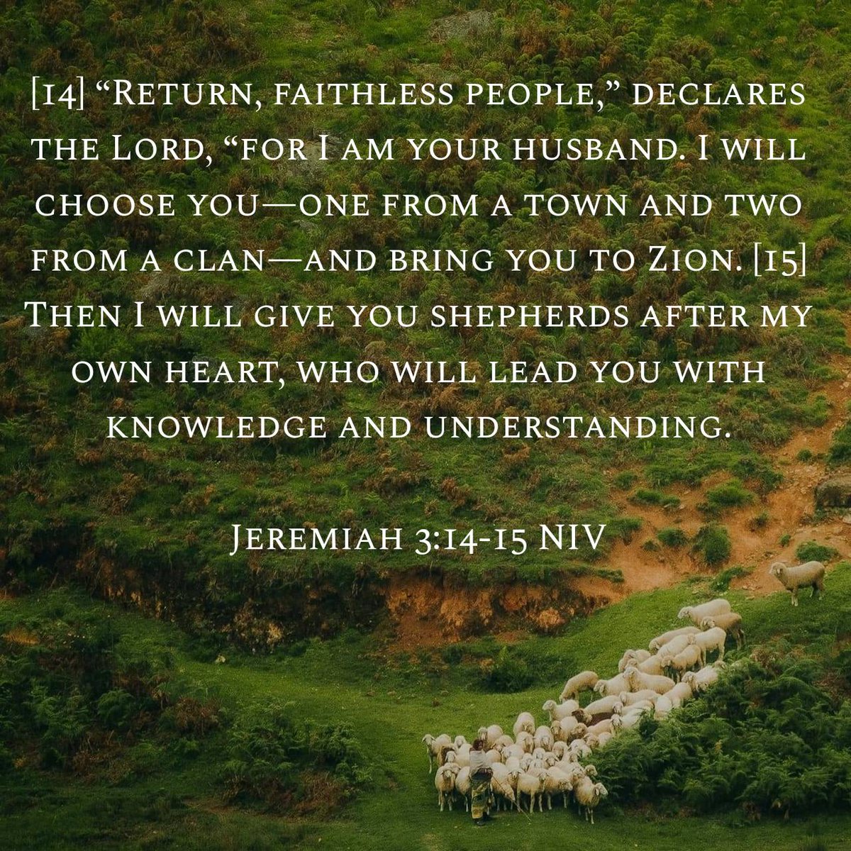 EdwinTashobya's tweet image. Then I will give you shepherds after my own heart... @UgandaEC @j_mucunguzi @coufamilytv @Archbp_COU @PoliceUg @Parliament_Ug This country is the Lord's. In this season, he promises shepherds, if we returned to Him. #ApeacefullElectionMyResponsibility
#NoToElectionViolence