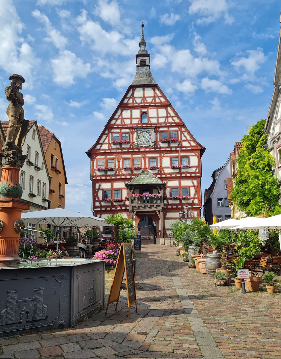 🏡 Besigheim old town 🪴