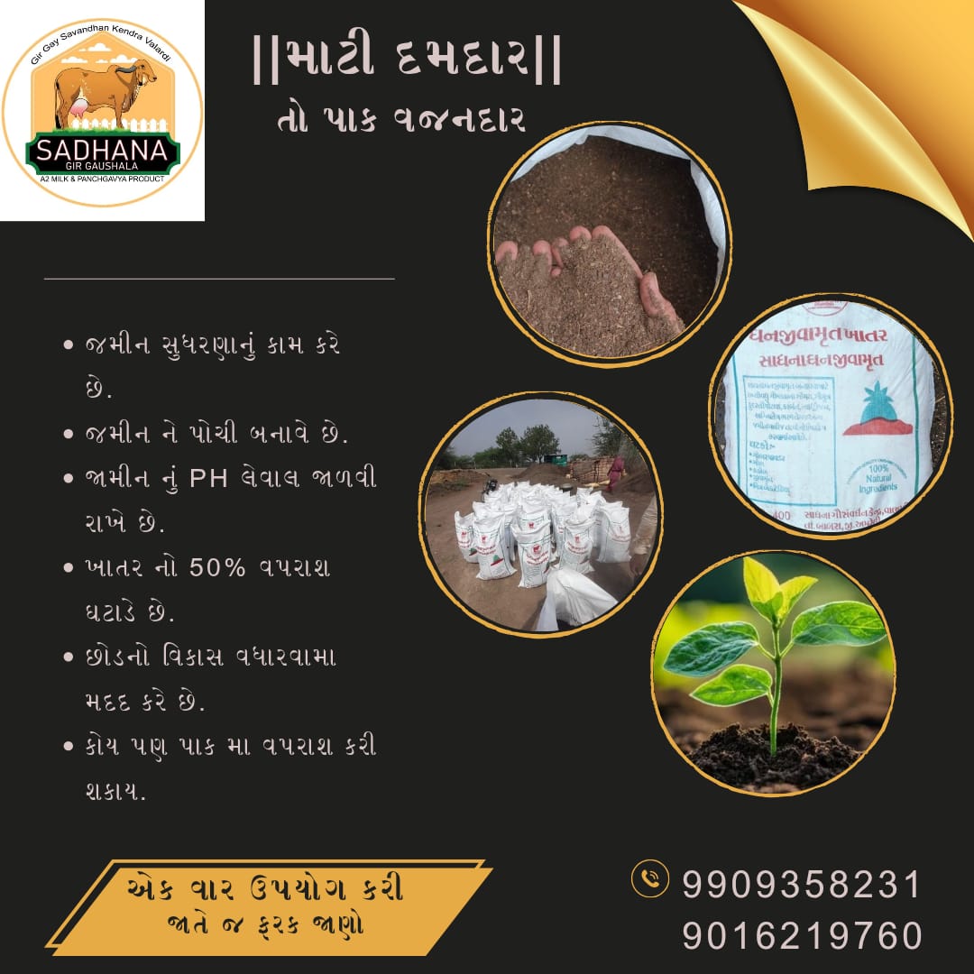 AmreliAtma's tweet photo. "ખેડૂત મિત્રો માટે કુદરતી ખાતર સીધા સંસ્થા દ્વારા મેળવવા તથા વધુમાં વધુ BRC યુનિટનો લાભ લેવાની વિનંતી છે."
રમેશભાઈ - ૯૯૦૯૩૫૮૨૩૧
@Infoamreligog @ddoamreli @CollectorAmr https://t.co/nbPzZucYWZ