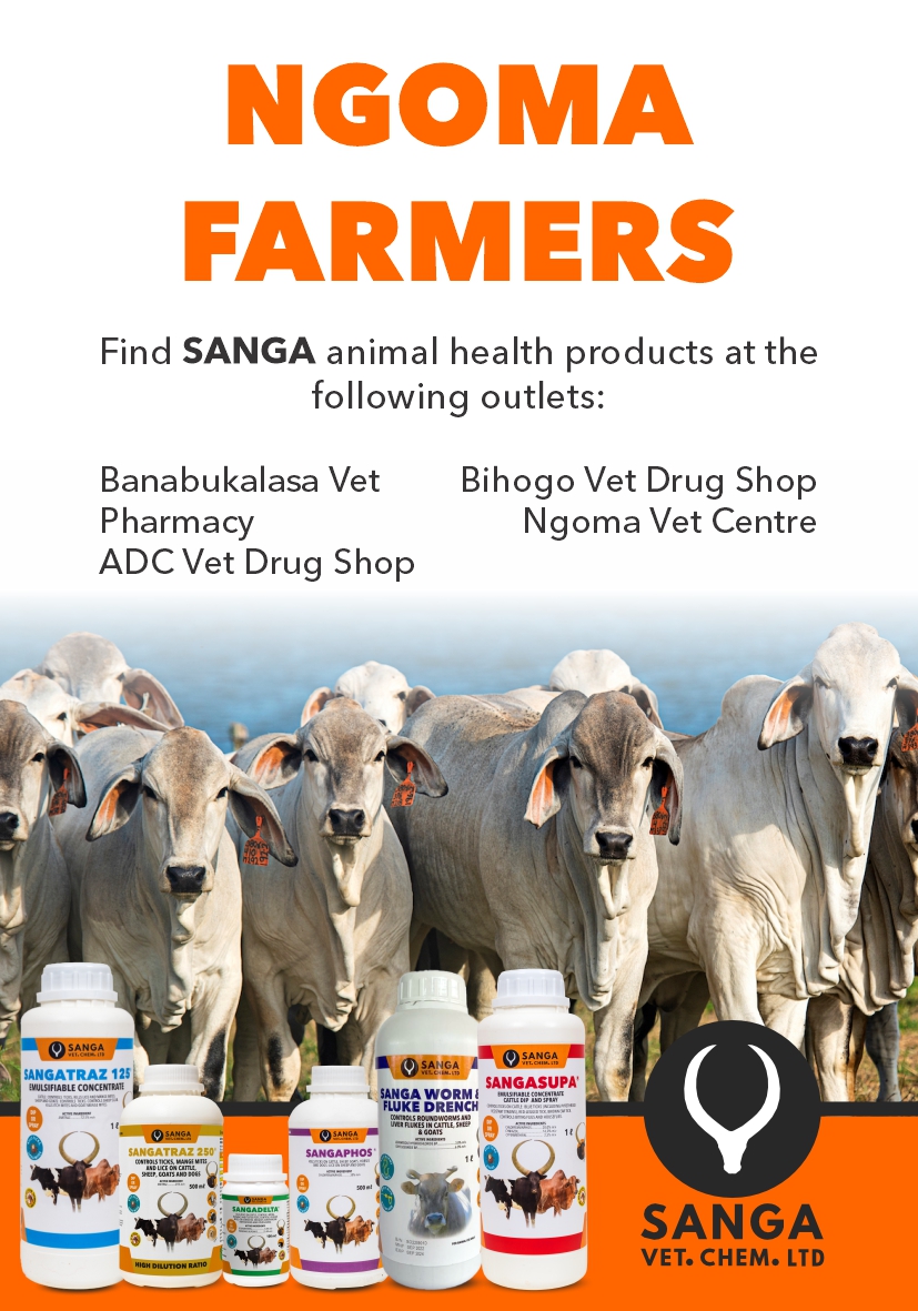 sangavetchem's tweet image. Retailer Outlets
NGOMA
BANABUKALASA VET PHARMACY, ADC VET DRUG SHOP, BIHOGO VET DRUG SHOP, NGOMA QUICK VET SERVICES