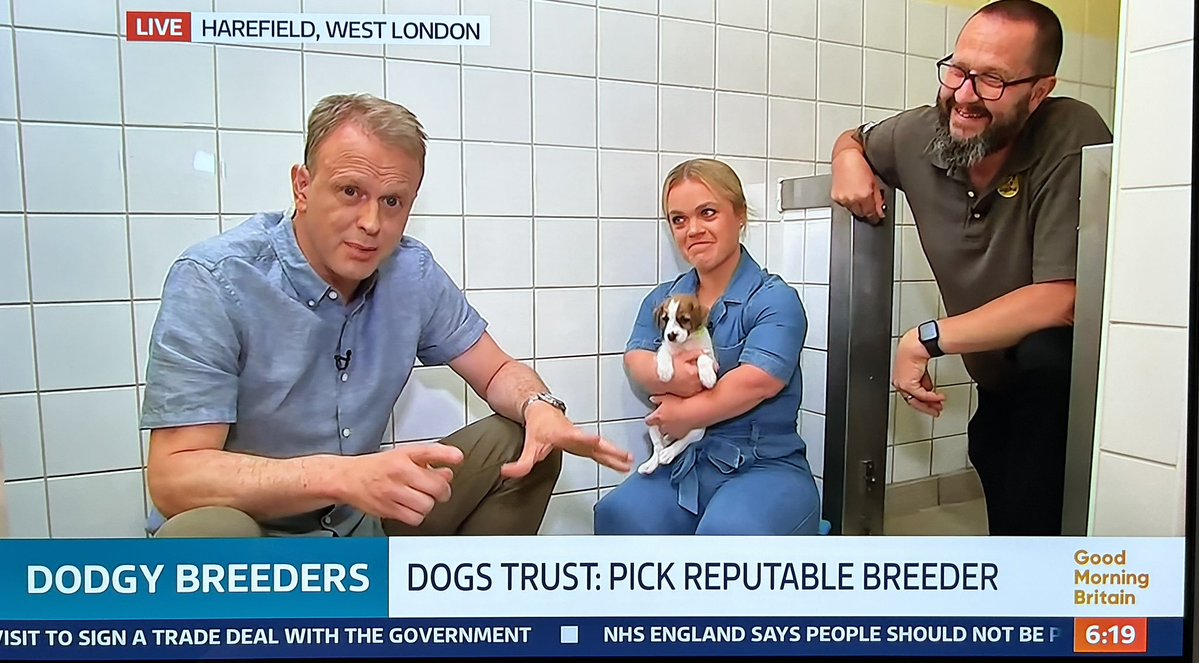 DT_VIPsuppawt's tweet image. Thank you to @GMB @NickDixonITV and of course paralympian @EllieSimmonds1 for joining @DogsTrust at @DT_WestLondon this morning to talk about puppies! 👀⬇️  Check out our guide to finding a good reputable breeder or visit one of our centres dogstrust.org.uk/dog-advice/get… 🐶