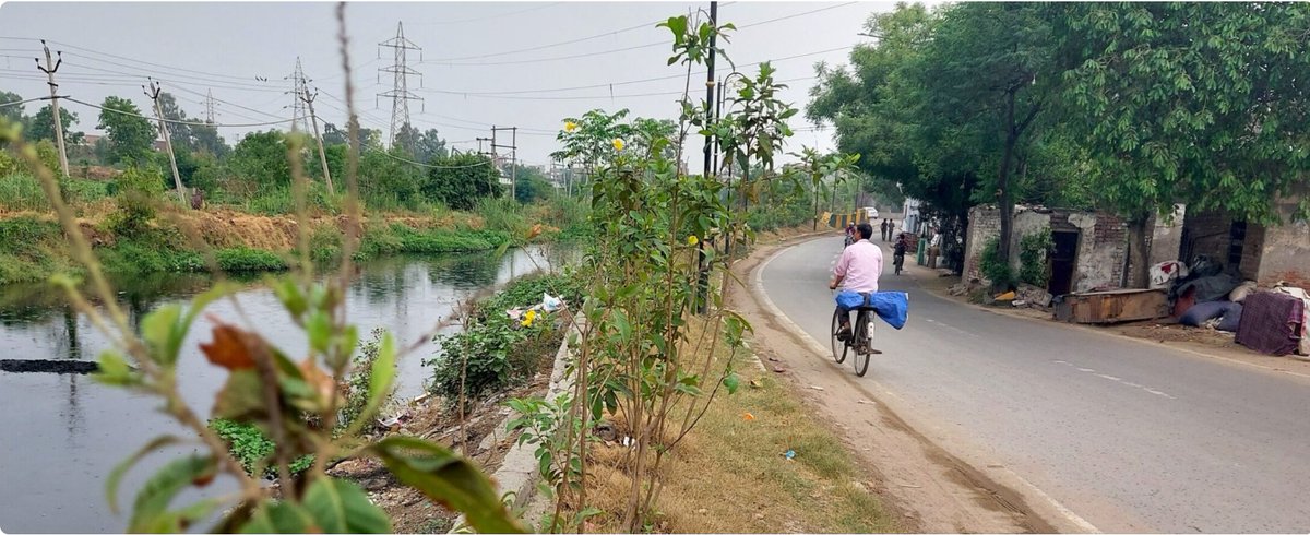 SFC_India's tweet image. In our March 2025 report on the implementation of heat action plans in nine Indian cities, we found that long-term heat mitigation measures, where present, are often ill-targeted and suffer from poor follow-through due to weak inter-departmental coordination. 

One of the unique…