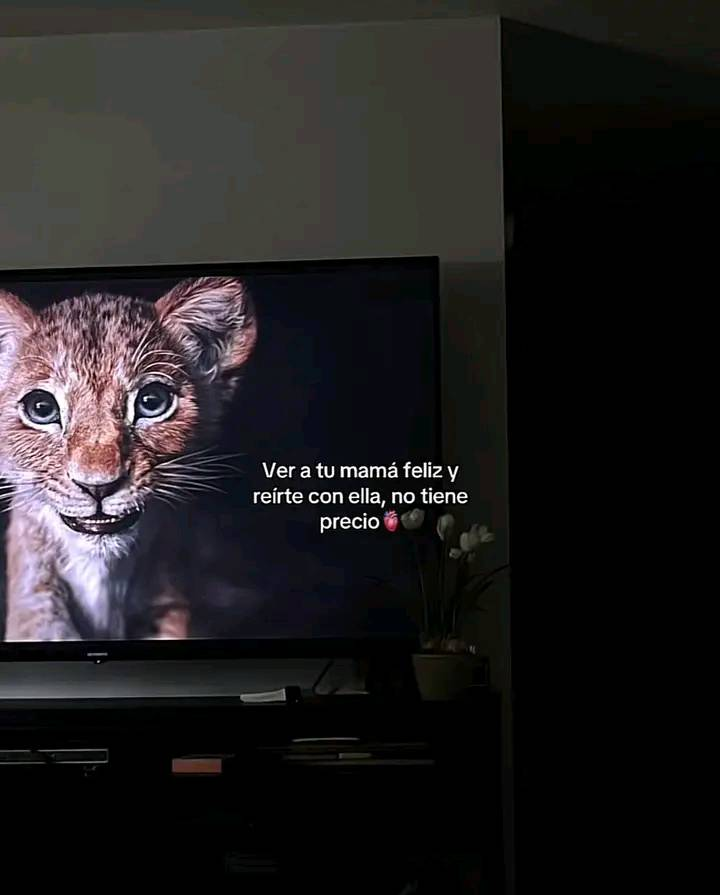 Bandidosfrasess's tweet photo. https://t.co/QjGkniuwZR