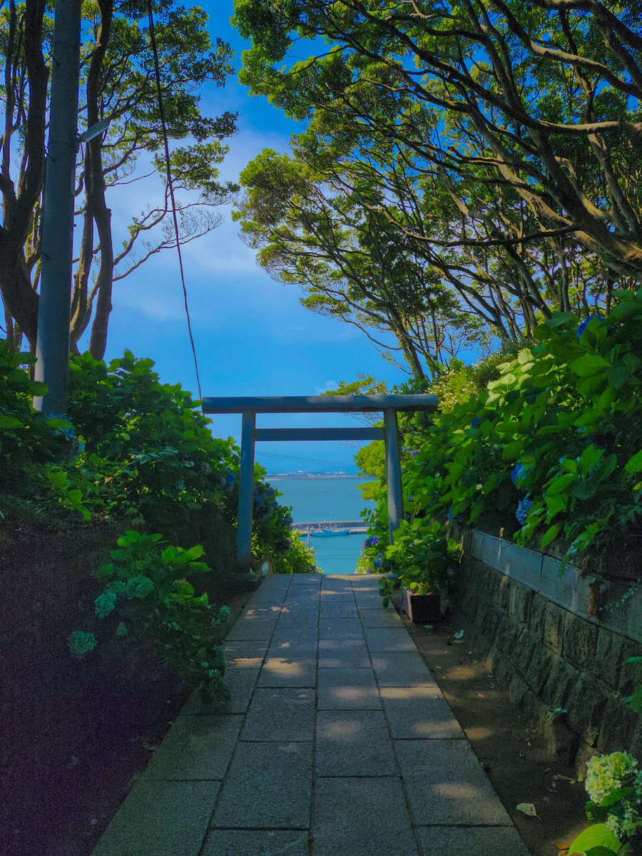 anzendie1's tweet image. 海の見える鳥居。