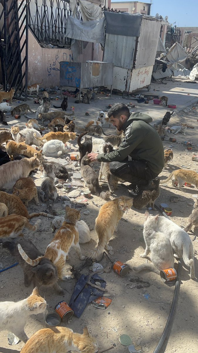 RescueCare's tweet image. My account is dying ;(
If you see this post PLEASE, just comment ๐๐พ,๐ต๐ธ or even a Dot.
Let me see all the Pro-Palestinian here๐๐ป๐พ๐๐ธ