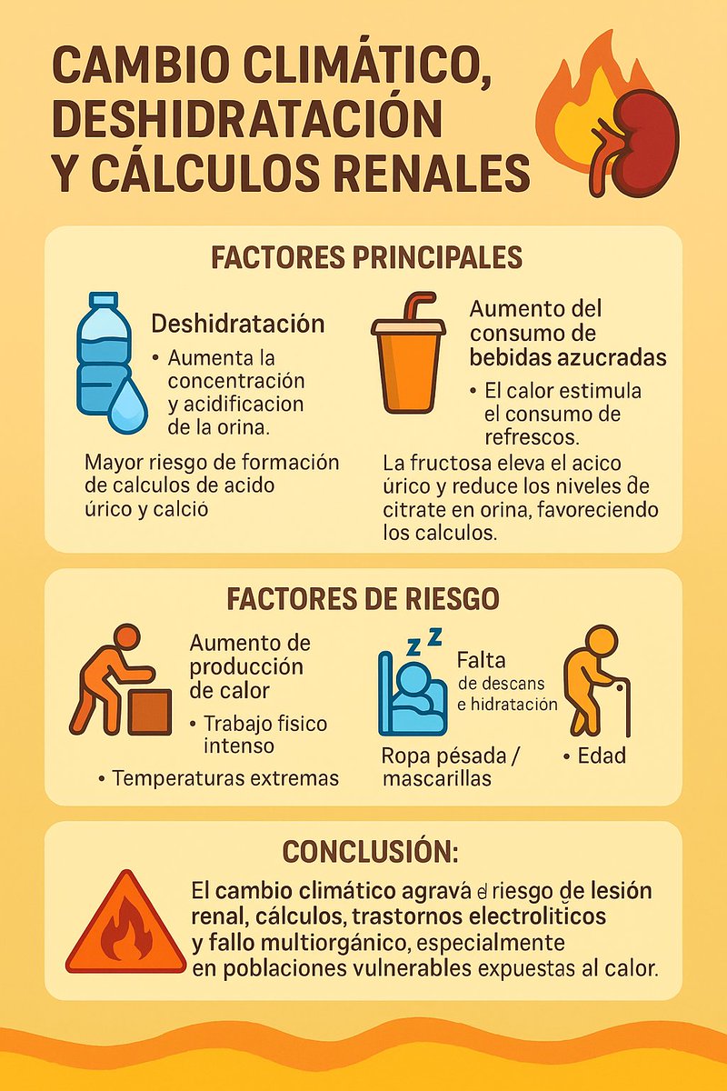 NefroGetafe (@nefrogetafe) on Twitter photo 🥵 Calor + refrescos azucarados = combo mortal renal🧃🪨
La fructosa:
✅ concentra tu orina
✅ ↑ ácido úrico
✅ ↓ citrato (protector renal)
¿Resultado? Tu orina se vuelve un cóctel concentrado para hacer piedras, no oro!!👇👇pubmed.ncbi.nlm.nih.gov/34473287/
<a href="/SENefrologia/">S.E.N. Nefrología</a> <a href="/SOMANEorg/">Sociedad Madrileña de Nefrología (SOMANE)</a> 🥵 Calor + refrescos azucarados = combo mortal renal🧃🪨
La fructosa:
✅ concentra tu orina
✅ ↑ ácido úrico
✅ ↓ citrato (protector renal)
¿Resultado? Tu orina se vuelve un cóctel concentrado para hacer piedras, no oro!!👇👇pubmed.ncbi.nlm.nih.gov/34473287/
<a href="/SENefrologia/">S.E.N. Nefrología</a> <a href="/SOMANEorg/">Sociedad Madrileña de Nefrología (SOMANE)</a>