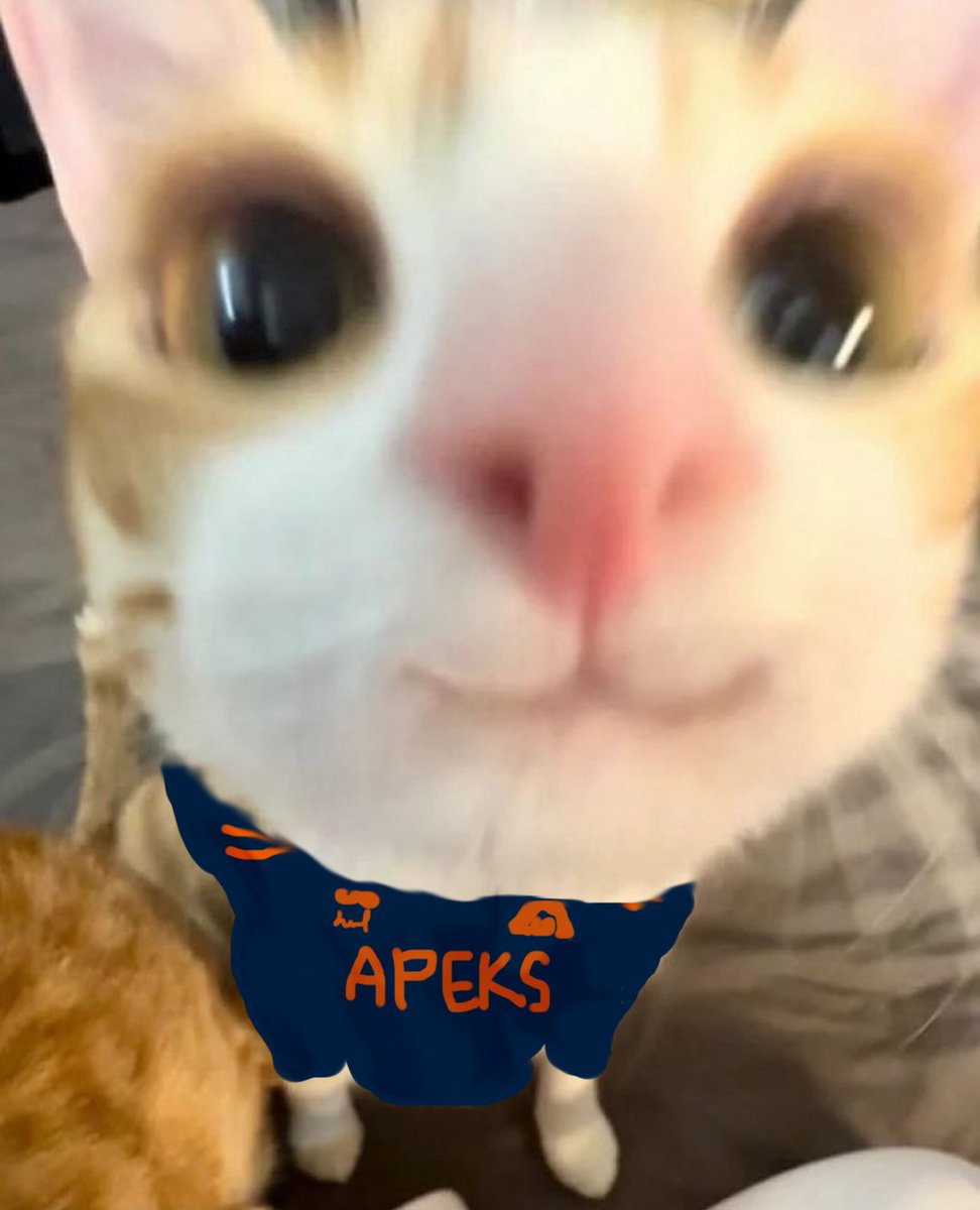 bluni_val's tweet image. apeks play vs kc in 8 hours ^_^

suuuuurely they get their first win surely surely surely surely surely surely surely surely surely surely surely surely surely surely surely surely surely surely 🤠