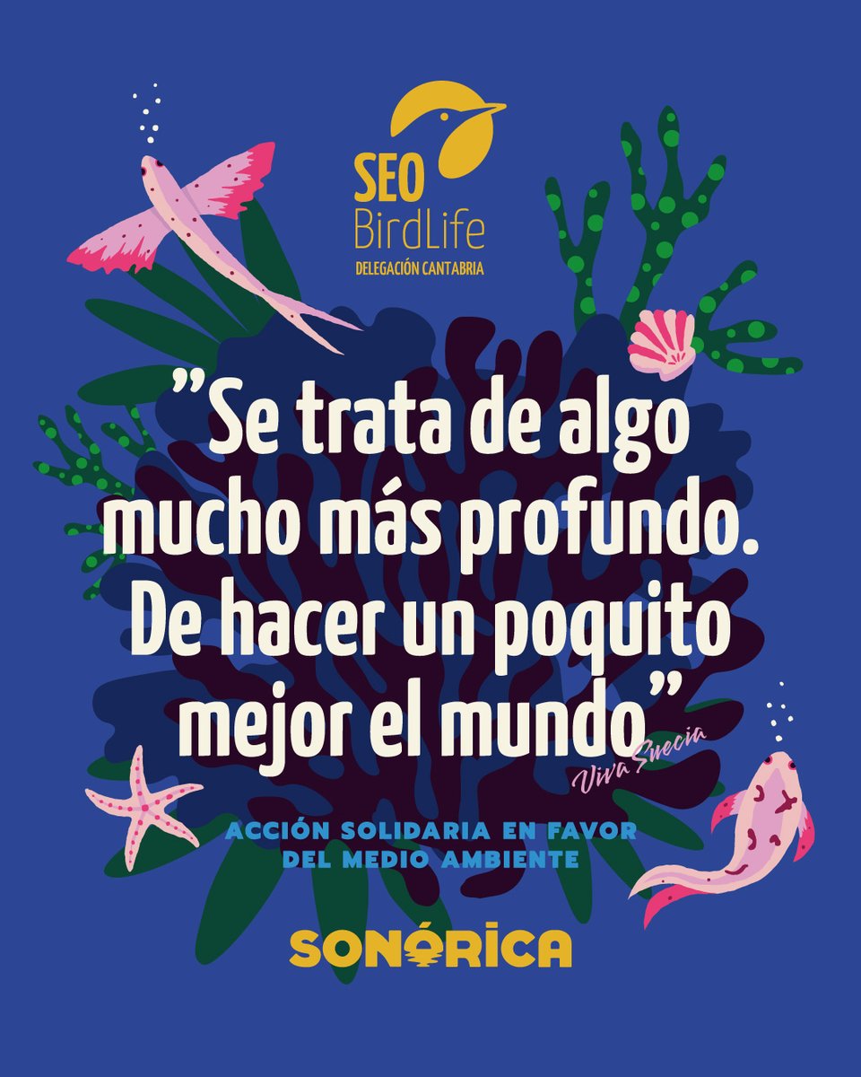 SEO_BirdLife's tweet image. 🎵 Festivales de música con fines solidarios.
El pasado fin de semana estuvimos en el Sonorica, en Castro Urdilaes (Cantabria), donde los miembros del grupo local SEO-Castro contaron con un stand dentro del festival donde se podían adquirir el pañuelo solidario dedicado para la…