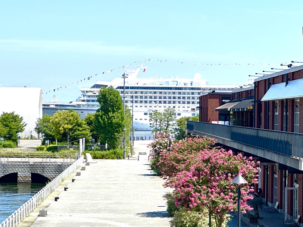 hamakoreykhm's tweet image. 夏の港町と客船✨